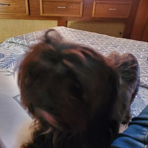 Meet your Posher, Marna